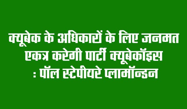 Parti Québécois will gather public opinion for Quebec's rights: Paul Steppierre Plamondon