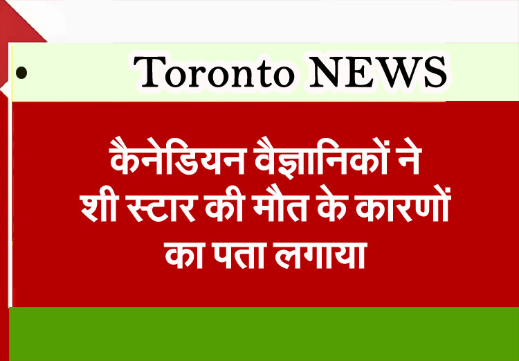 Toronto News: Canadian scientists discover cause of death of Xi Star