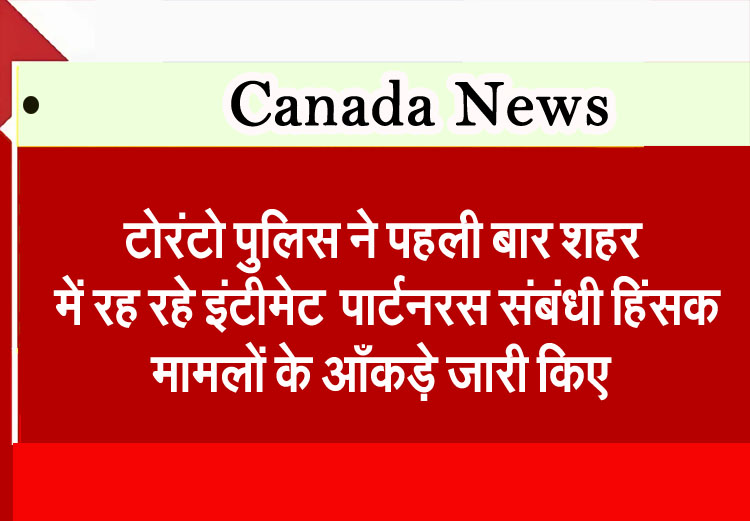 Toronto police have released statistics on intimate partner violence in the city for the first time.