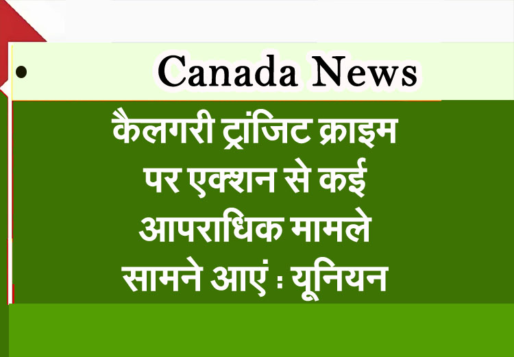 Crackdown on Calgary transit crime has led to numerous criminal cases: union