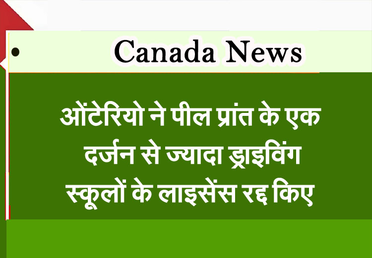 Ontario News: Ontario revokes licences of more than a dozen driving schools in Peel Province