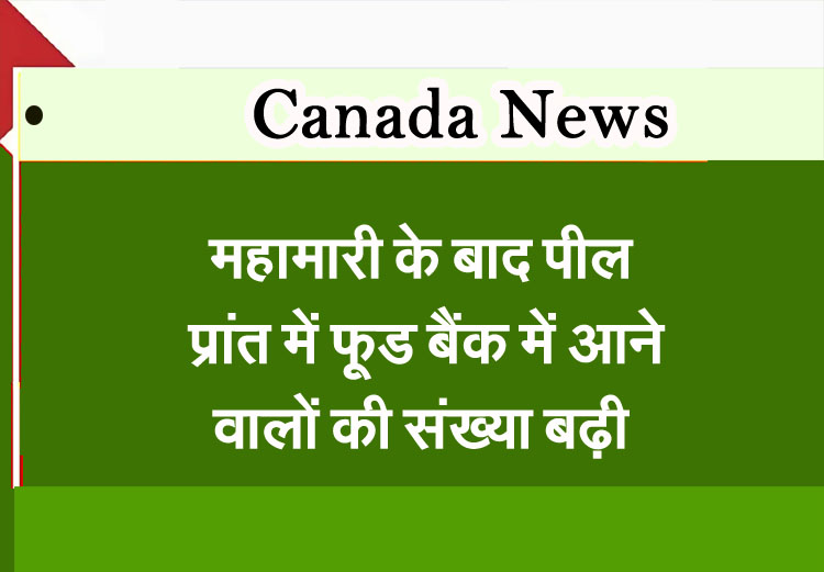 Mississauga News: Food bank visits in Peel Province surge after pandemic