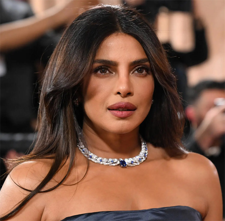 ऑस्कर 2026 : प्रियंका चोपड़ा होंगी प्रेजेंटर