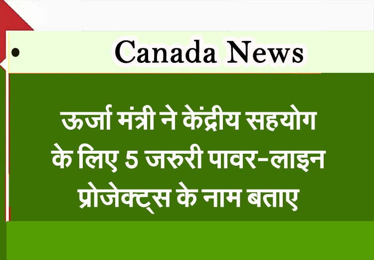 The Energy Minister identified five crucial power-line projects requiring central support.